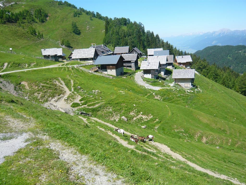 Ferienhaus Mitsche Villa Hermagor Ruang foto